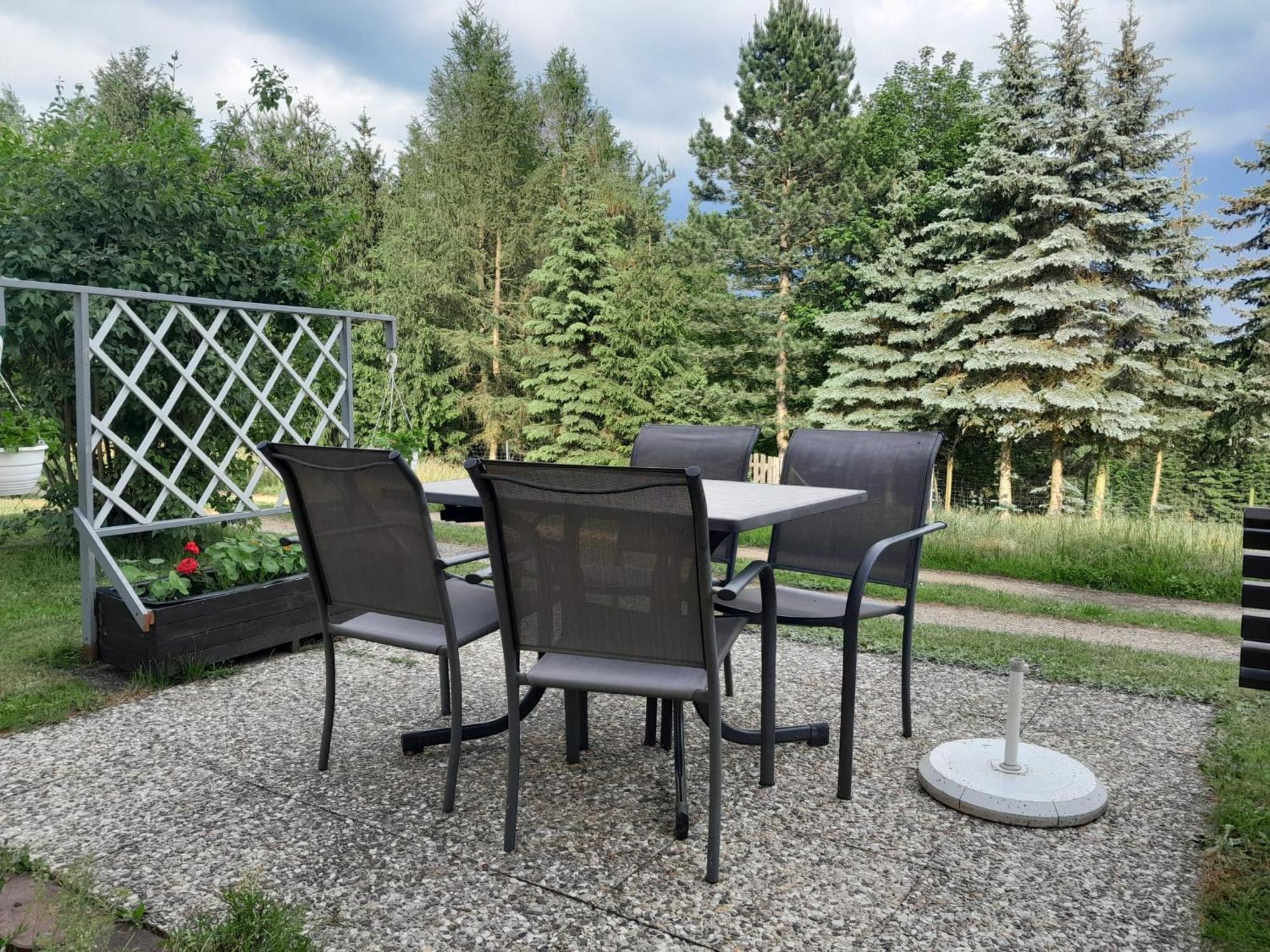 Ferienwohnung Blick Zum Zirkelstein Reinhardtsdorf-Schona Extérieur photo