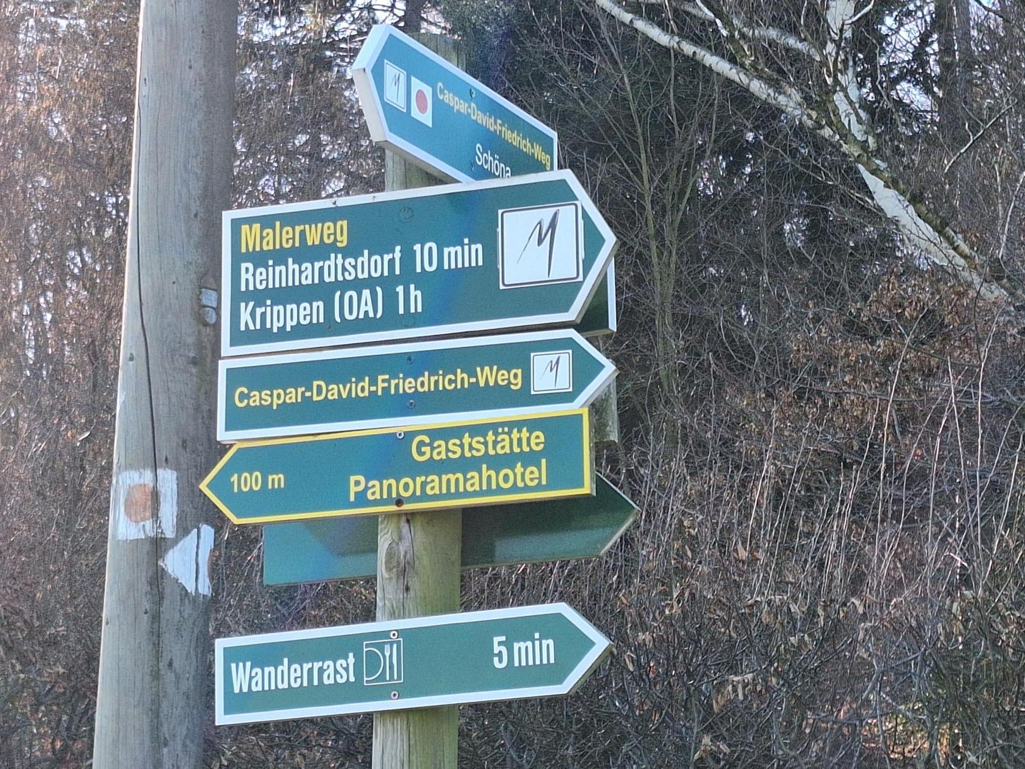 Ferienwohnung Blick Zum Zirkelstein Reinhardtsdorf-Schona Extérieur photo
